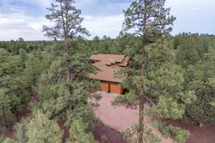21 S Golden Rod Ln, Show Low, AZ 85901 - Photo 41