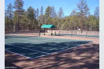 21 S Golden Rod Lane, Show Low, AZ 85901 - Photo 59