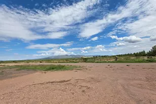 9290 N Wynn Dr, McNeal, AZ 85617 - Photo 41