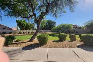 833 E Sheffield Ave, Chandler, AZ 85225 - Photo 43