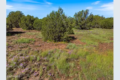 8796 Luana Drive #122, Show Low, AZ 85901 - Photo 13