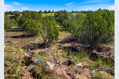8796 Luana Drive #122, Show Low, AZ 85901 - Photo 9