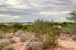 5195 S Opal Pl, Chandler, AZ 85249 - Photo 53