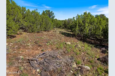 8788 Andrea Place #105, Show Low, AZ 85901 - Photo 9