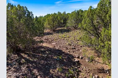 8788 Andrea Place #105, Show Low, AZ 85901 - Photo 15