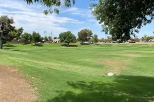 2834 E Juanita Ave, Mesa, AZ 85204 - Photo 3