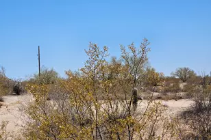 11761 N Abel Pl, Florence, AZ 85132 - Photo 31