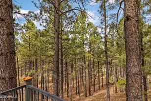 1801 N Fox Hill Rd, Flagstaff, AZ 86004 - Photo 17
