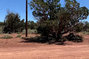 131 Walnut Rd, Williams, AZ 86046 - Photo 3
