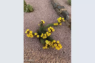1051 Nicklaus Drive, Cottonwood, AZ 86326 - Photo 25