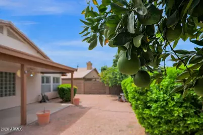 1440 E Gary Drive, Chandler, AZ 85225 - Photo 27