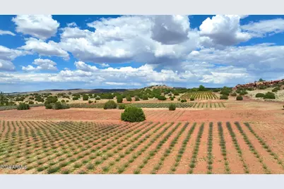 14 Cr 5309 --, Concho, AZ 85924 - Photo 5