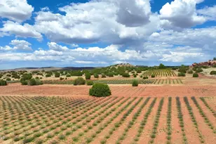 14 CR 5309, Concho, AZ 85924 - Photo 5