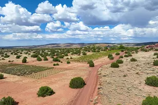 14 CR 5309, Concho, AZ 85924 - Photo 49
