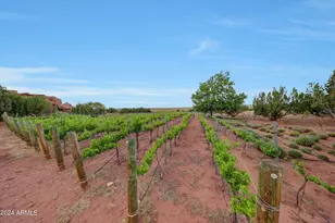 14 CR 5309, Concho, AZ 85924 - Photo 51