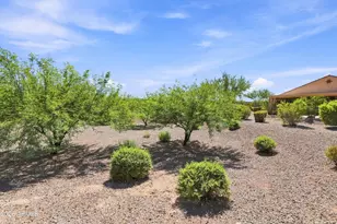 26775 W Piute Ave, Buckeye, AZ 85396 - Photo 49
