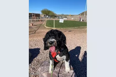 8700 E University Drive #833, Mesa, AZ 85207 - Photo 37