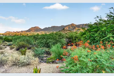 11605 E Desert Holly Drive, Scottsdale, AZ 85255 - Photo 131