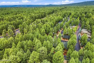 3915 Elk Hollow Dr, Pinetop, AZ 85935 - Photo 43