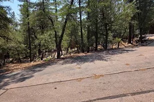 5916 W Deer Crossing Trail, Pine, AZ 85544 - Photo 3