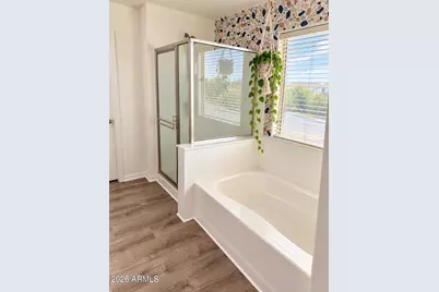 1087 W Empress Tree Avenue, San Tan Valley, AZ 85140 - Photo 9