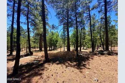 4215 Apache Drive #428, Happy Jack, AZ 86024 - Photo 3
