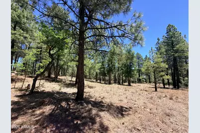 4215 Apache Drive #428, Happy Jack, AZ 86024 - Photo 1