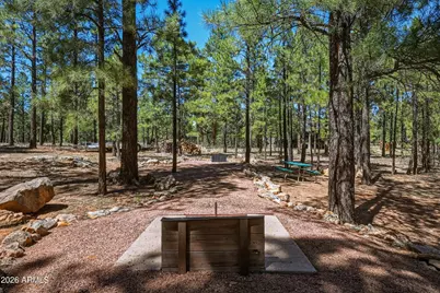 4621 Lariat Way, Happy Jack, AZ 86024 - Photo 41