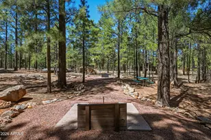 4621 Lariat Way, Happy Jack, AZ 86024 - Photo 41