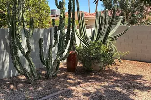 26017 S Hollygreen Dr, Sun Lakes, AZ 85248 - Photo 33