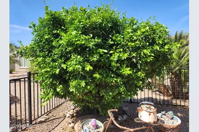 36 S Valencia Court, Casa Grande, AZ 85194 - Photo 15