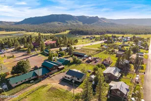 19 N County Road 2056 --, Alpine, AZ 85920 - Photo 29