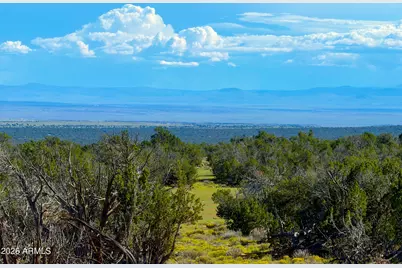 Tbd Co Rd N7480 40 Acres -- #-, Saint Johns, AZ 85936 - Photo 15
