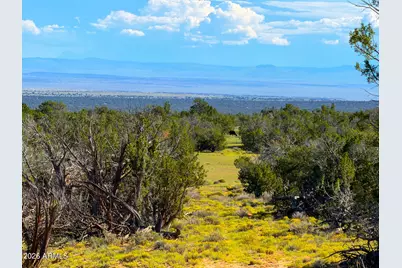 Tbd Co Rd N7480 40 Acres -- #-, Saint Johns, AZ 85936 - Photo 5