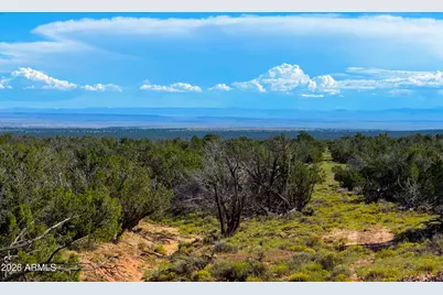 Tbd Co Rd N7480 40 Acres -- #-, Saint Johns, AZ 85936 - Photo 13