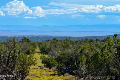 Tbd Co Rd N7480 40 Acres -- #-, Saint Johns, AZ 85936 - Photo 1