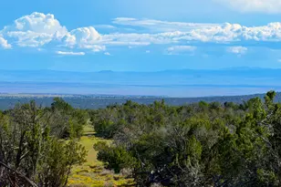 Tbd Co Rd N7480 40 Acres --, Saint Johns, AZ 85936 - Photo 1