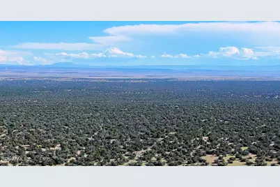 Tbd Co Rd N7480 40 Acres -- #-, Saint Johns, AZ 85936 - Photo 17