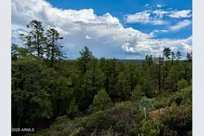 6292 Fawn Lane #-, Show Low, AZ 85901 - Photo 3