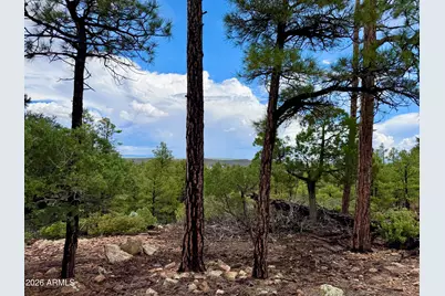 6292 Fawn Lane #-, Show Low, AZ 85901 - Photo 5