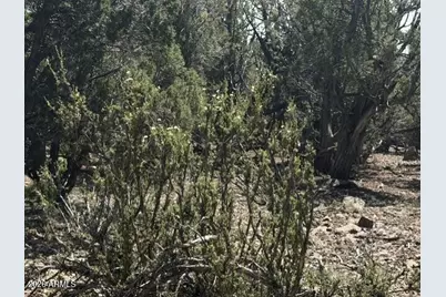 14 9 Shooter Terrace #-, Ash Fork, AZ 86320 - Photo 13