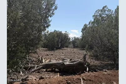 14 9 Shooter Terrace #-, Ash Fork, AZ 86320 - Photo 9