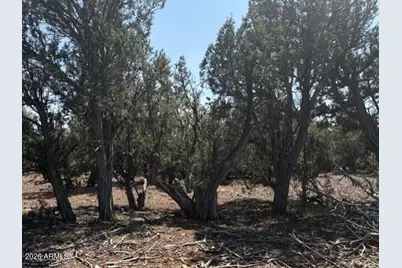 14 9 Shooter Terrace #-, Ash Fork, AZ 86320 - Photo 15