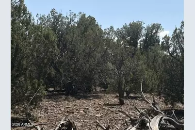 14 9 Shooter Terrace #-, Ash Fork, AZ 86320 - Photo 17