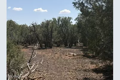 14 9 Shooter Terrace #-, Ash Fork, AZ 86320 - Photo 19