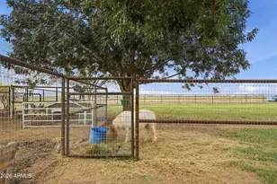 21851 W S Mountain Ave, Buckeye, AZ 85326 - Photo 67