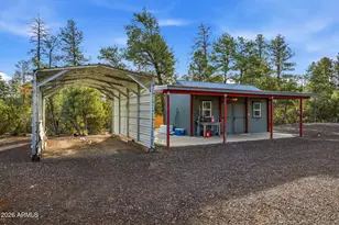3051 State Route 277 --, Overgaard, AZ 85933 - Photo 33