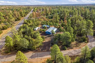 3051 State Route 277 --, Overgaard, AZ 85933 - Photo 39