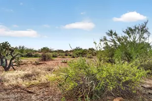 17854 E Fellipe Ct, Gold Canyon, AZ 85118 - Photo 33