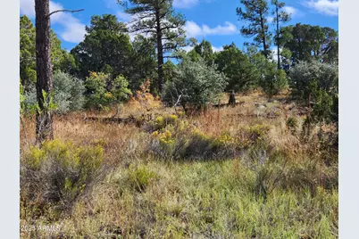 6662 State Route 260 -- #-, Show Low, AZ 85901 - Photo 3